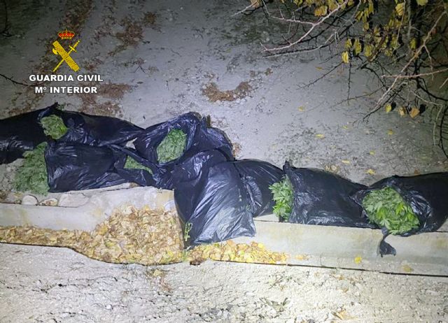 La Guardia Civil se incauta de cerca de 400 plantas de marihuana en una vivienda y detiene a su morador